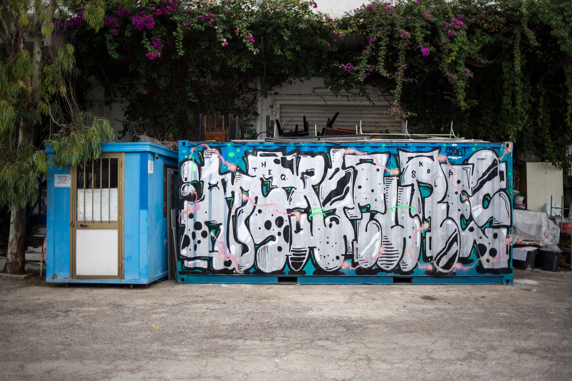 Graffiti Tiger Man a Bari