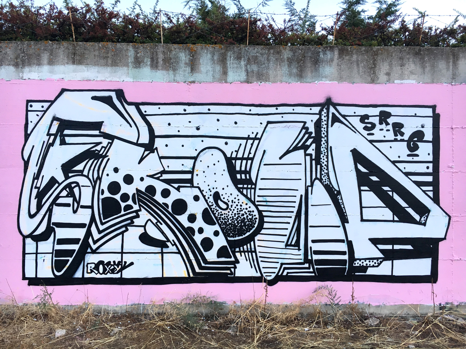 Graffiti Terlizzi Wall a Terlizzi